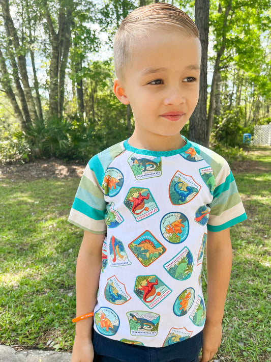 Multiple Sizes - Dino Patches Raglan Tees